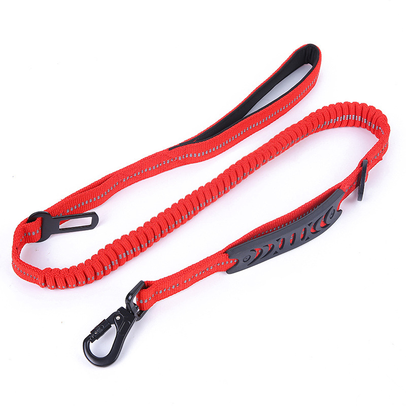 Elastic Extendable Reflective Dog Leash