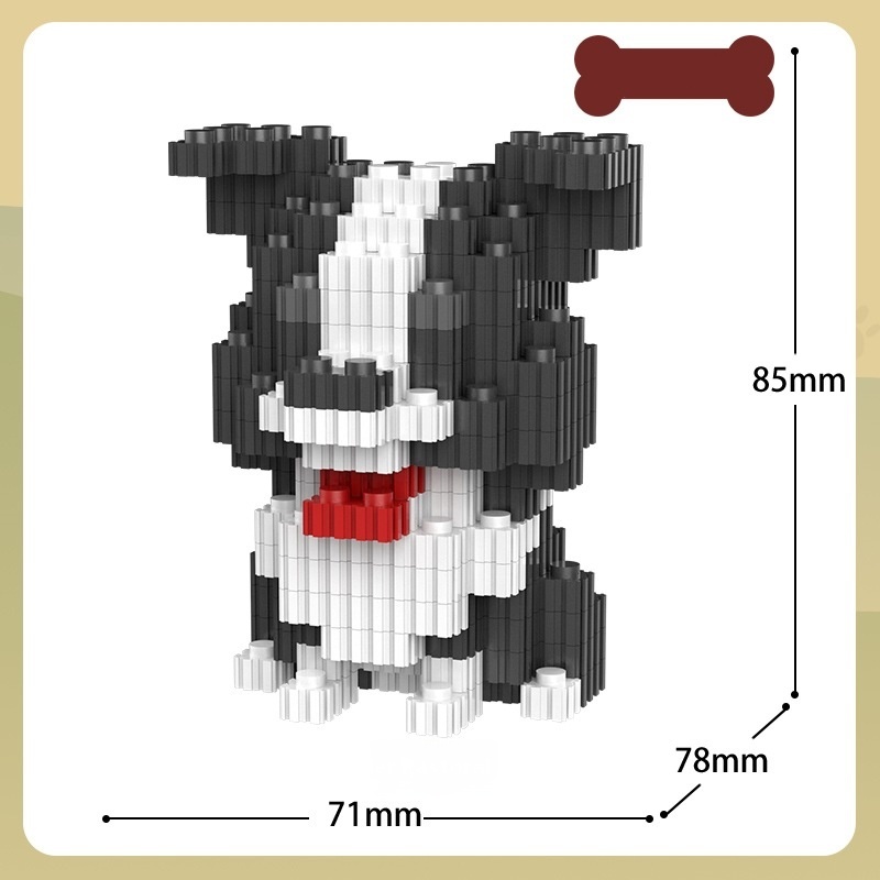 Border Collie Dog