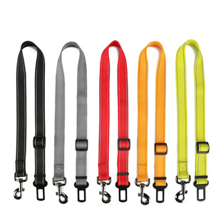 Nylon Dog Pet Leash Adjustable detail photo 9