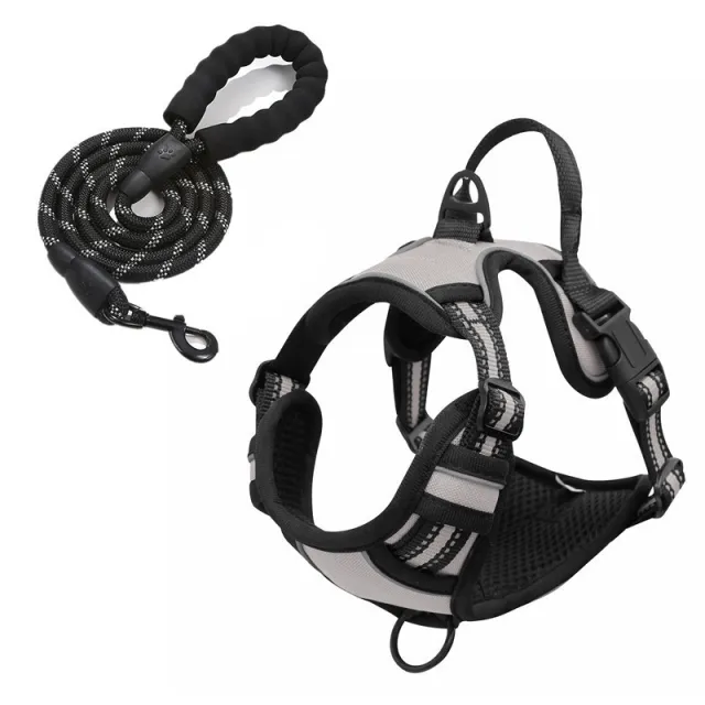 Pet Hand Holding Rope Chest And Back Nylon Dog Rope Gray 1.5 M Round Rope - Shop at LoveMi