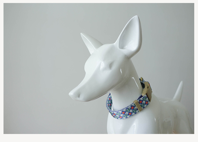 Pet Dog Nylon Leash Good Set detail photo 4