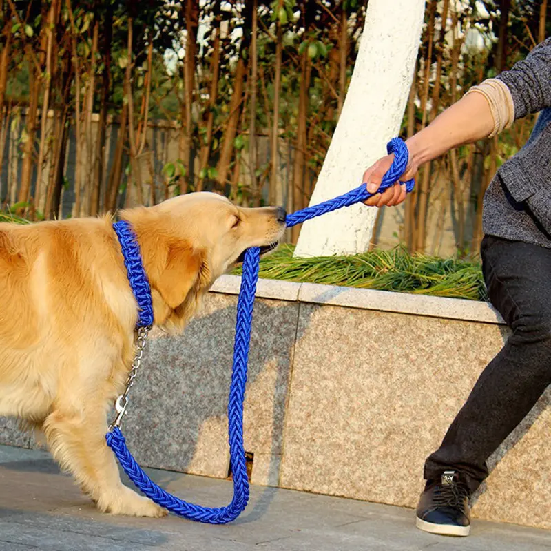 Eight-strand Nylon Leash Suitable