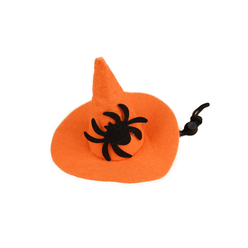 Pumpkin Color Black Spider