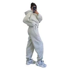 European And American Solid Colour Hooded Cardigan Sweaters Women's Clothing Two-piece Fashion Casual Sweatpants Suit - Flower Grey - View 1