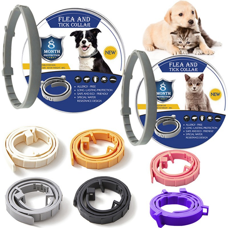 https://cf.cjdropshipping.com/quick/product/e9266e67-34c4-44c1-9c66-050e4b97a3e8.jpg