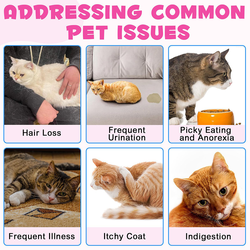 Collagen Drops For Cats To Boost Immunity And Support Digestion