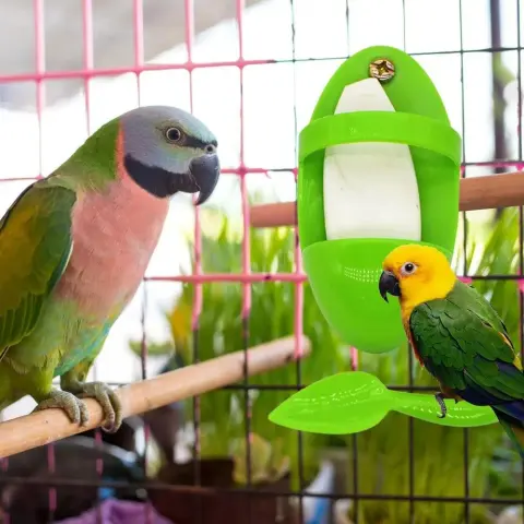 Parrot Food Rack Bird Cuttlefish Skeleton Box