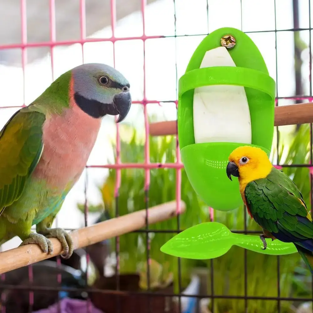 Parrot Food Rack Bird Cuttlefish Skeleton Box