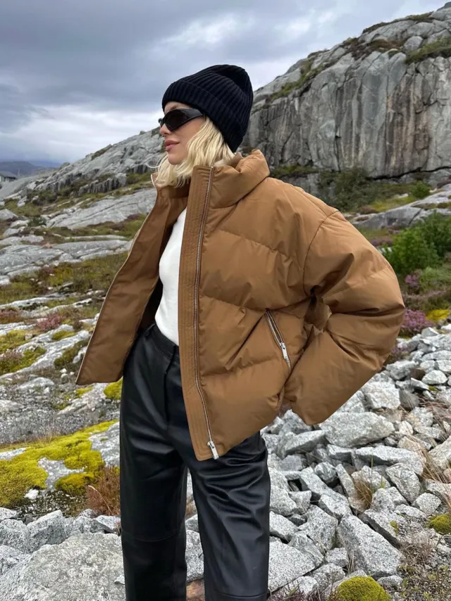 Autumn And Winter Zipper Stand Collar White Duck Down Jacket Coffee - Shop at LoveMi