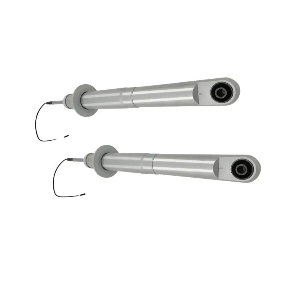 Two Front Shock Absorbers
