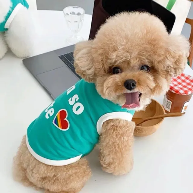 English Candy Color Dog Summer Thin Clothes Vest Green - Shop at LoveMi