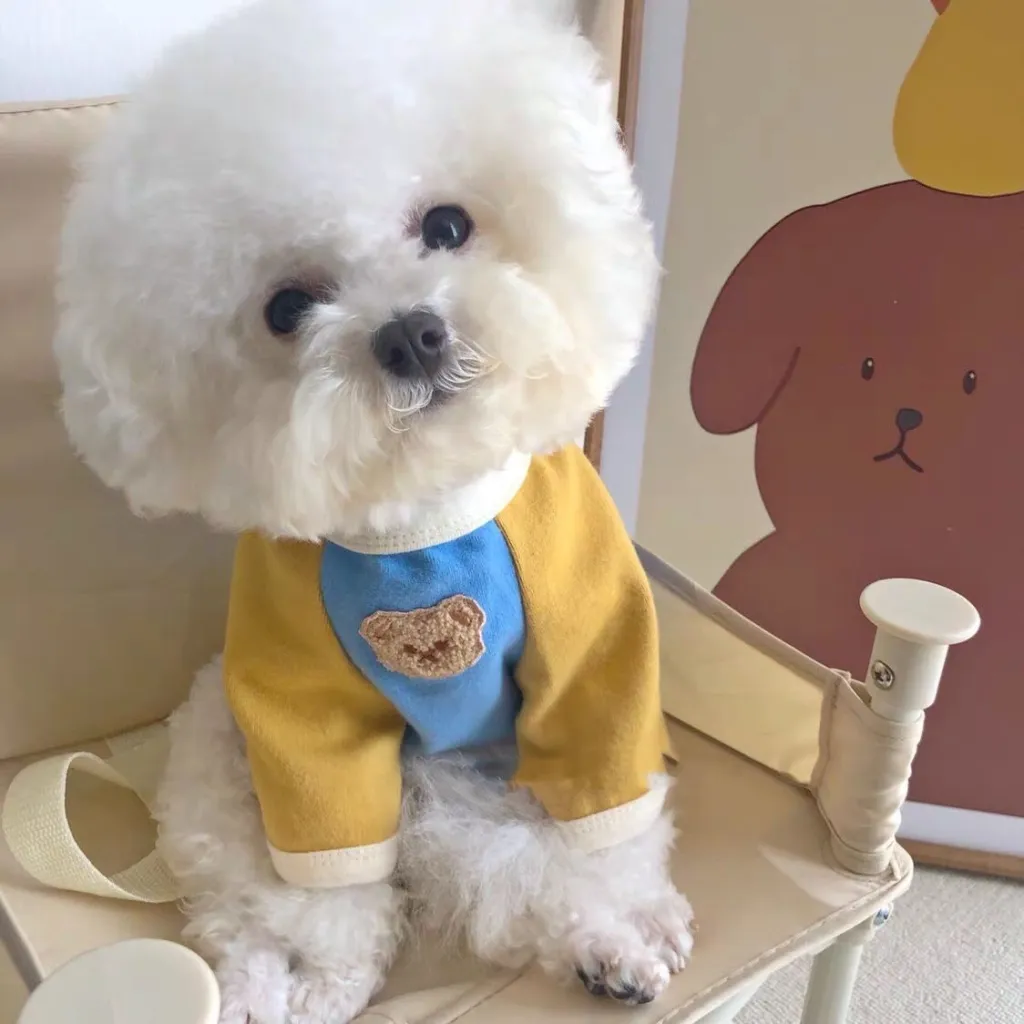 Poodle Dog Clothes Korean Pet Pullover Sweater - Blue Yellow Bear