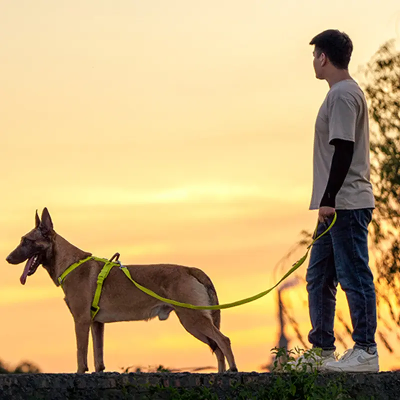 Medium And Large Breed Dogs Hand-held Dog
