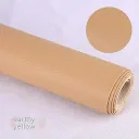 Ginger Yellow