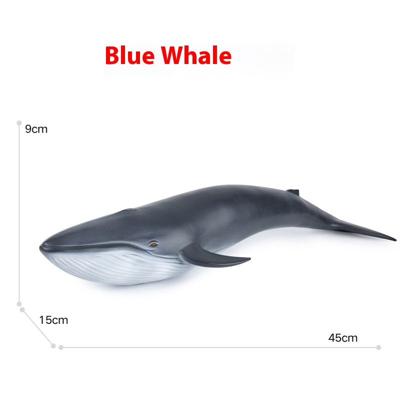 Blue Whale