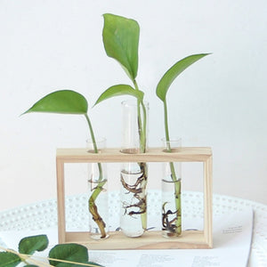 Wooden TestTube Planter