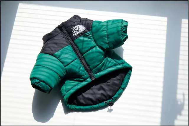 Windproof And Rainproof Dog Winter Warm Pet Cotton padded Clothes Dark Green - Shop at LoveMi