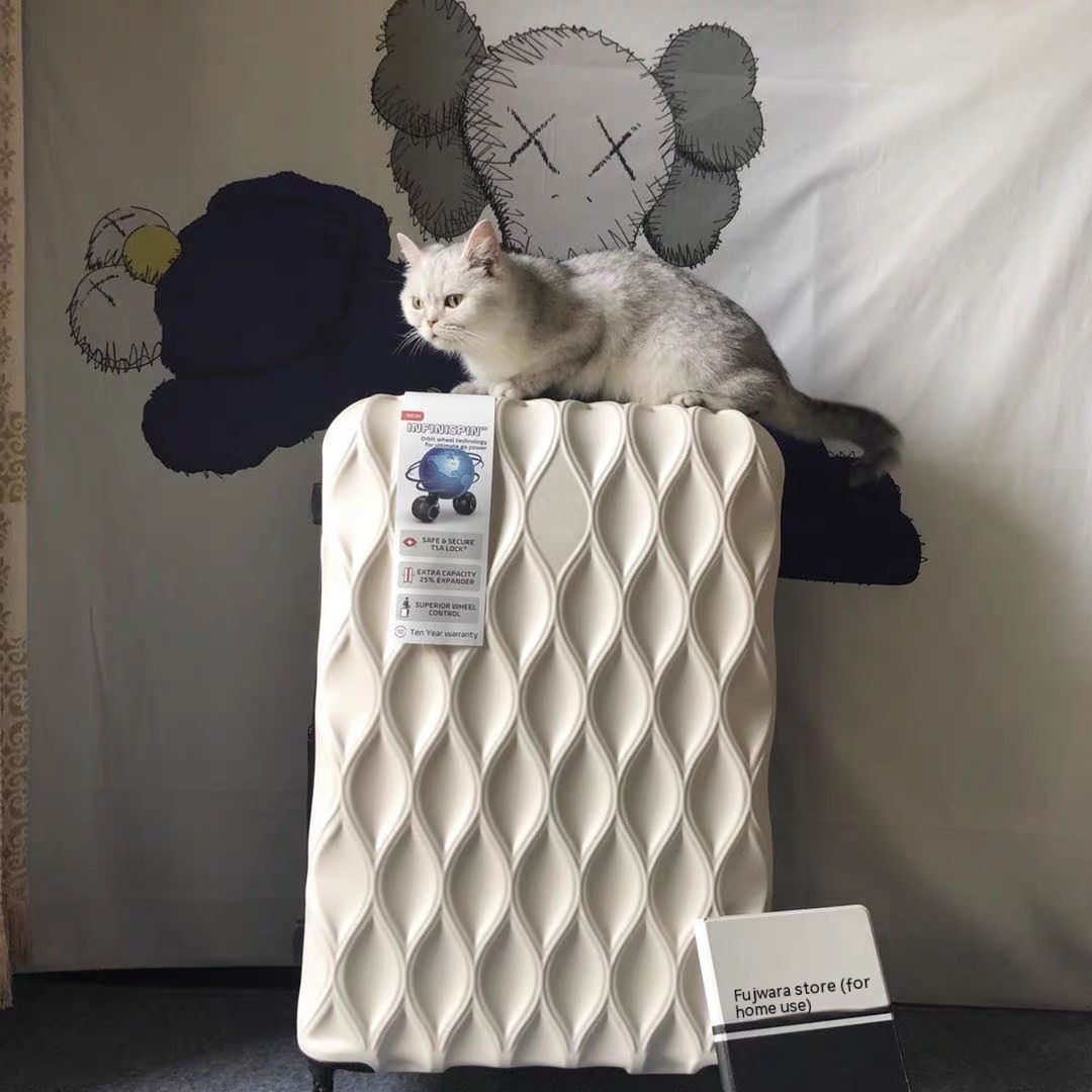 Durable And Strong Password Luggage Small Trolley Case - Image 1