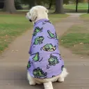 Purple Crocodile
