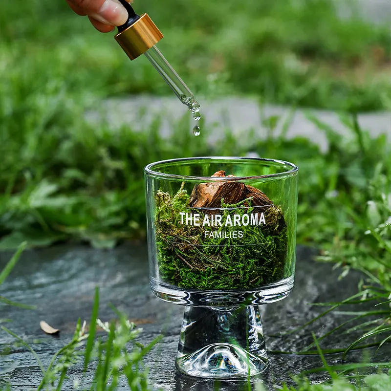 Pine Wood and Moss Fire-Free Aroma Diffuser Cup Ornament