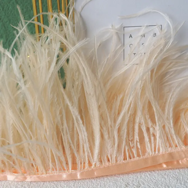 Decorative Feather Cloth Strip DIY Clothing Sccessories 52 Champagne - Shop at LoveMi