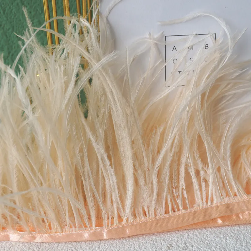 Decorative Feather Cloth Strip DIY Clothing Sccessories - 52 Champagne