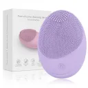 English Battery Purple