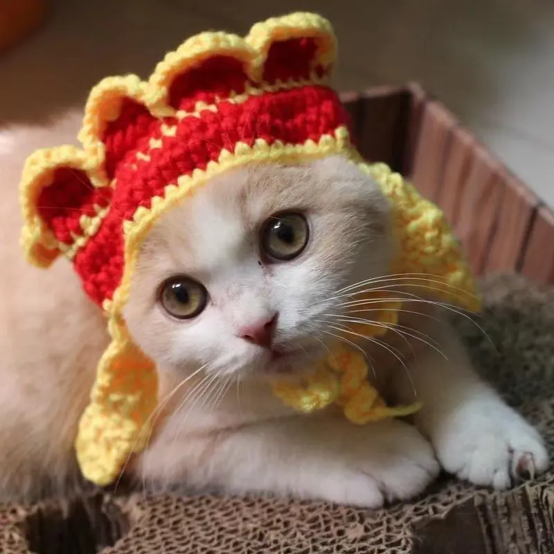Wool Pet Hood Dogs and Cats Knitted Hat Prop