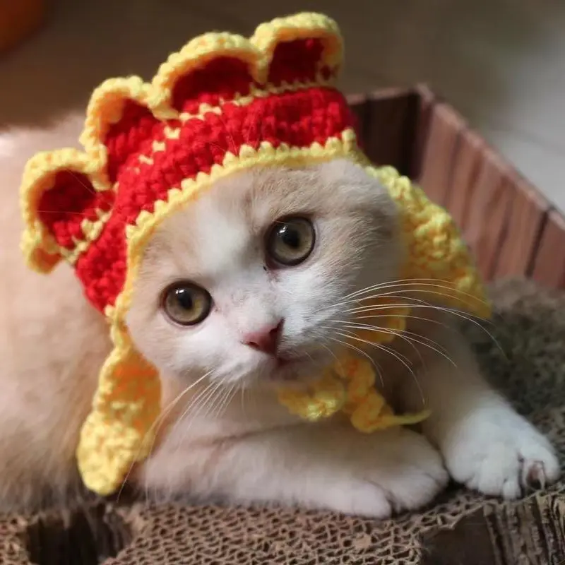 Wool Pet Hood Dogs And Cats Knitted