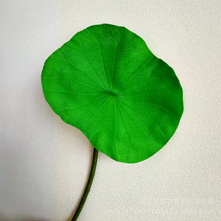 Lotus Leaf Large