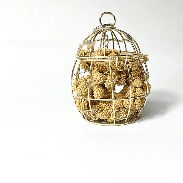 Parrot Toy Bird Bite Rabbit Feeding Water Foraging Brushed Toy Iron Cage - Shop at LoveMi