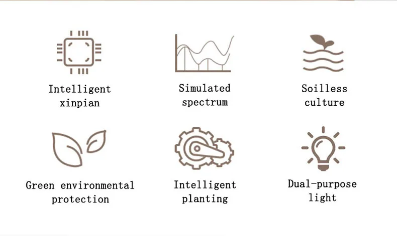 Title 2, Machine de croissance de plantes sans sol