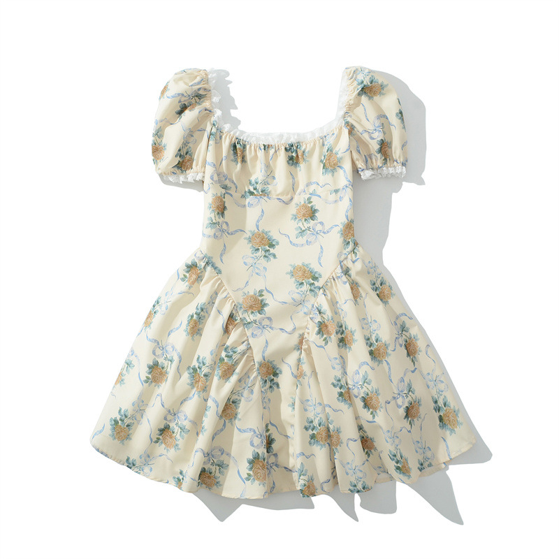 Printed Mesh Lace Dress