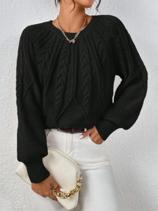 Round Neck Knitted Sweater Female Twist Thread Solid Color Versatile Casual Top Black - Shop at LoveMi