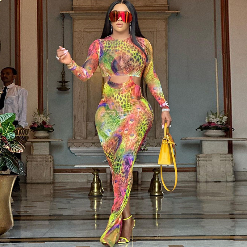 Phoenix Tail Printed Long Sleeve Hollow-out Tight Sheath Dress