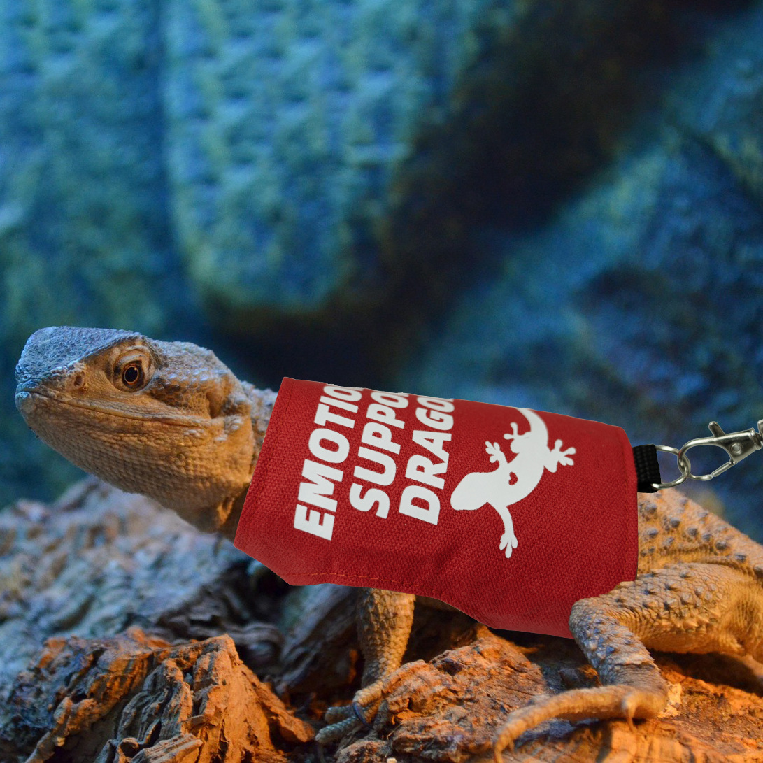 Lizard Harness And Leash Set, Pet Supplies For Reptiles, For Outdoor Use detail photo 4