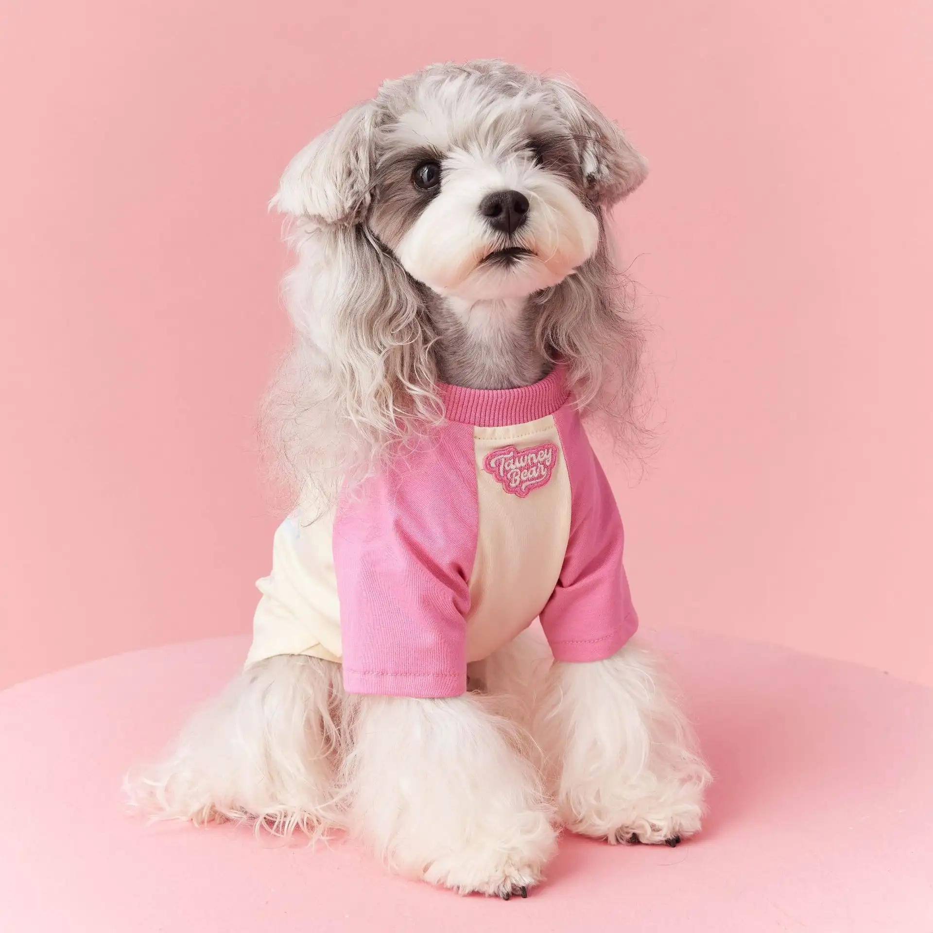 Dog Clothes Summer Clothes Contrast Color Handsome