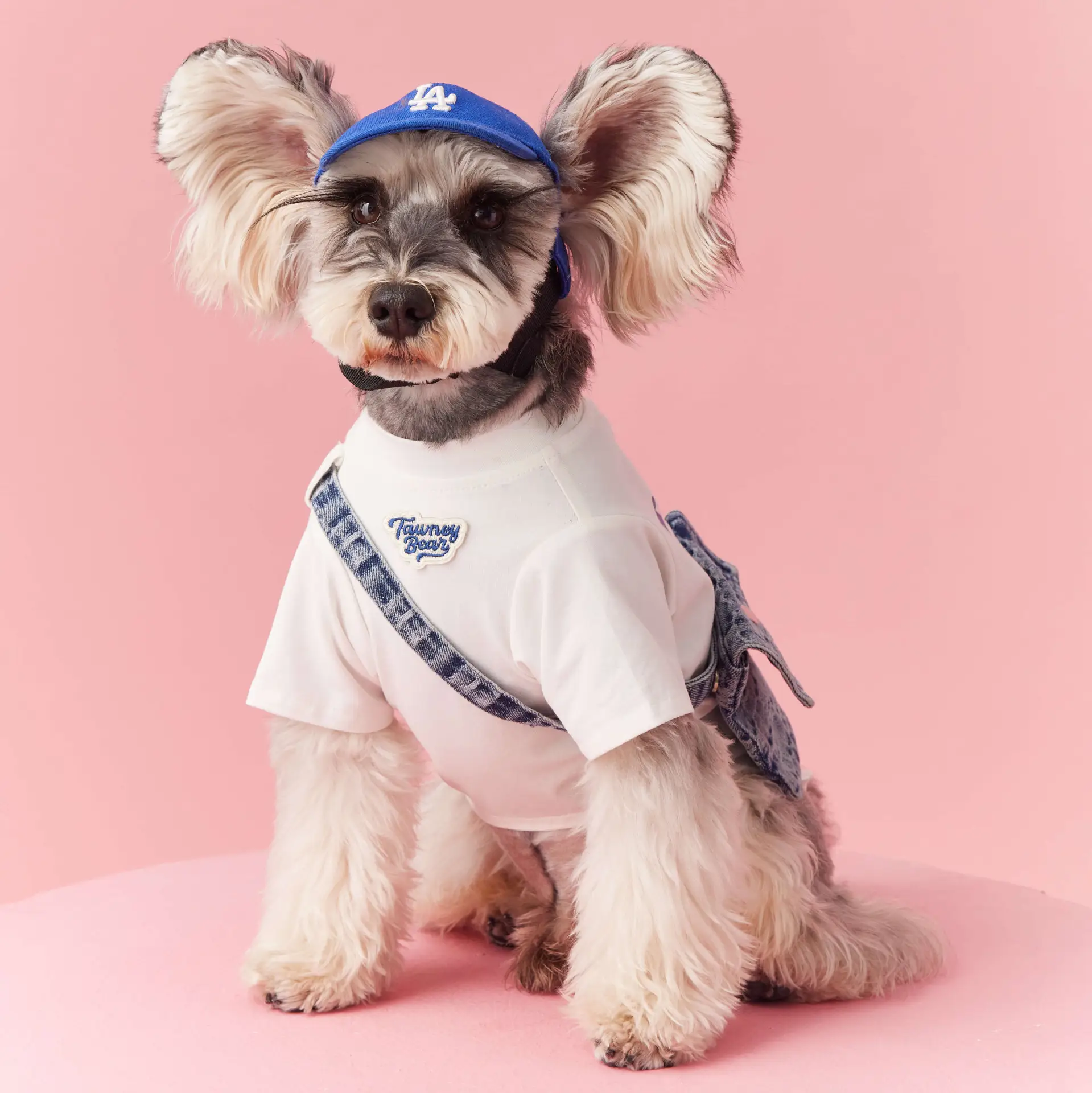 Dog Clothes Summer Teddy Small Body Schnauzer Bichon