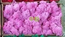 Medium Pink 500g