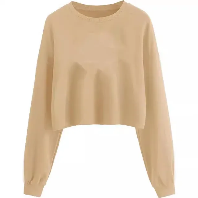 Women's Autumn And Winter New Solid Color With Fur Loose O neck Short Sweater Apricot - Shop at LoveMi