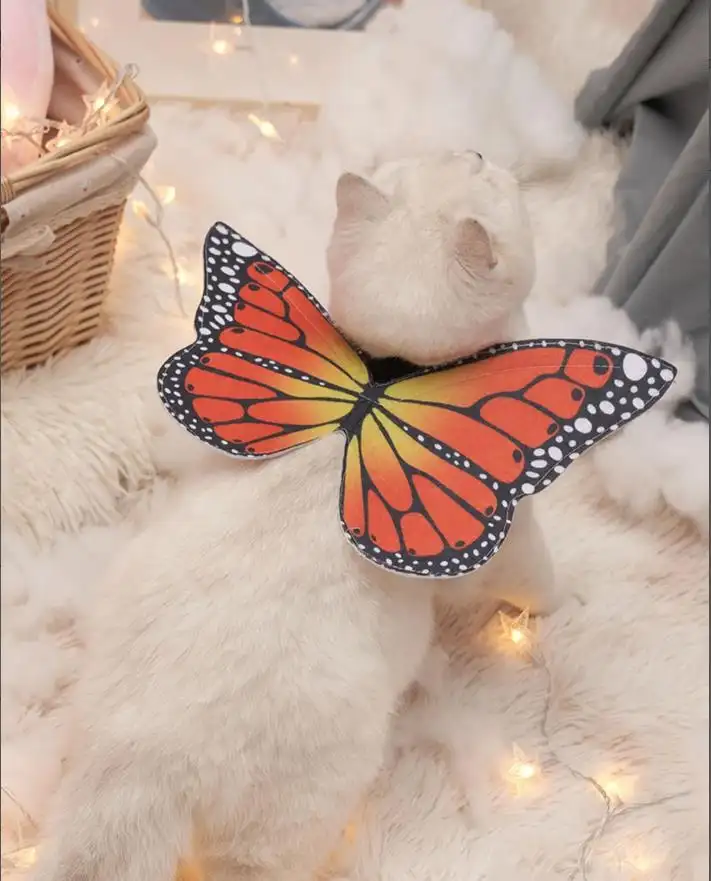COS Cartoon Transformation Owl Pet Costume Two-piece Set
