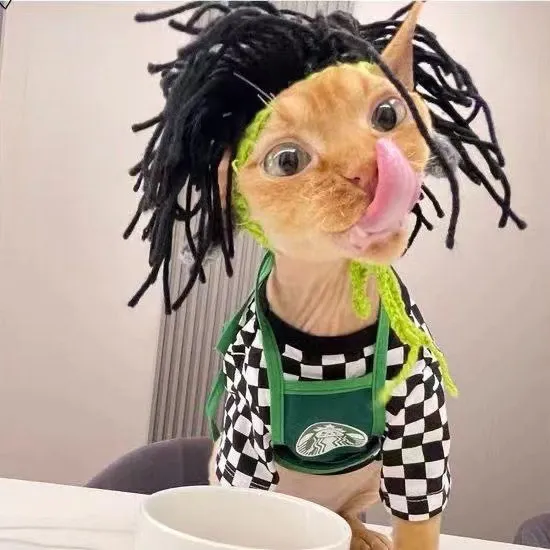 Wool Pet Hood Dogs And Cats Knitted Hat Prop Headdress - Black Hair Green Background
