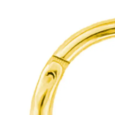 Stainless Steel Lace Inlaid Zircon Casting Interface Nose Ring