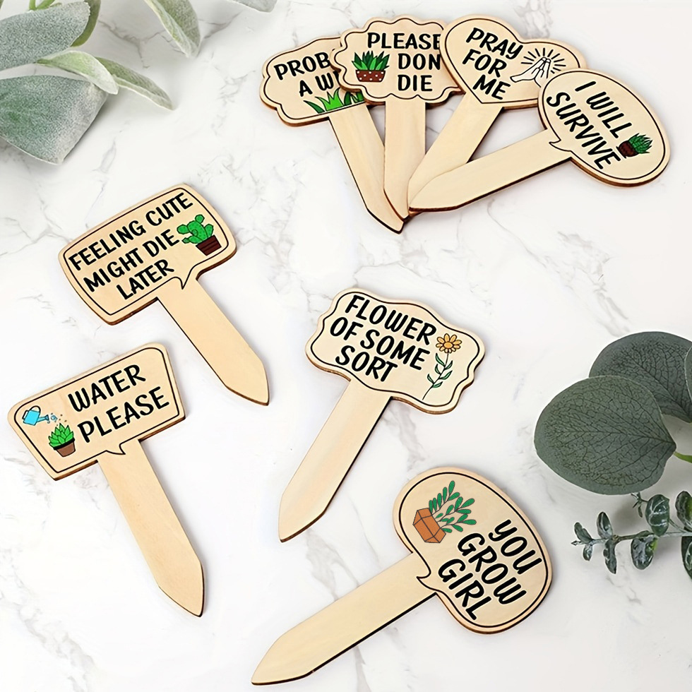 Colorful Decorative Wooden Signs For Plants Succulents