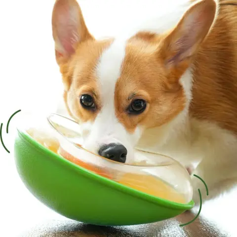 Anti-tumble Avocado Pet Feeding Bowl