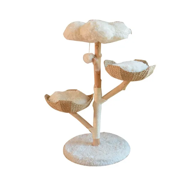 Natural Fruit Tree Cat Climbing Frame Solid Wood Rattan Cat Nest Cat Tree White - Shop at LoveMi