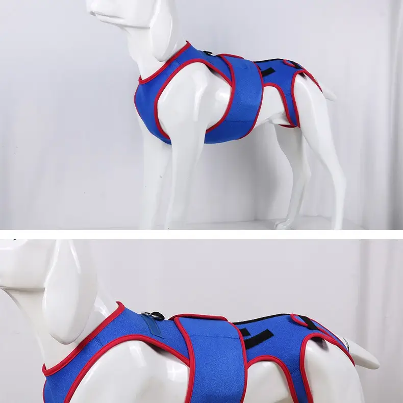 Pet Spine Support Jacket Prevents Hunching In Pets