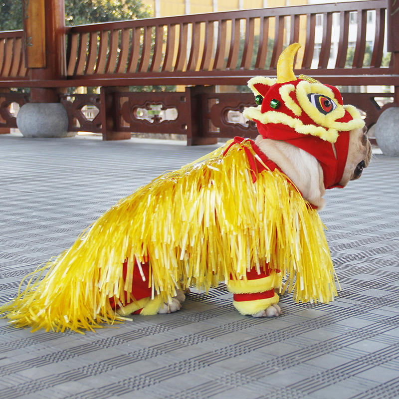 Lion Dance Costume