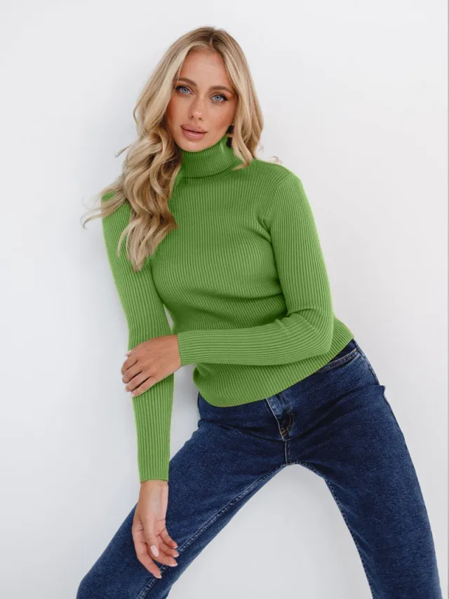 Women's Knitwear Turtleneck Pullover Green - Shop at LoveMi