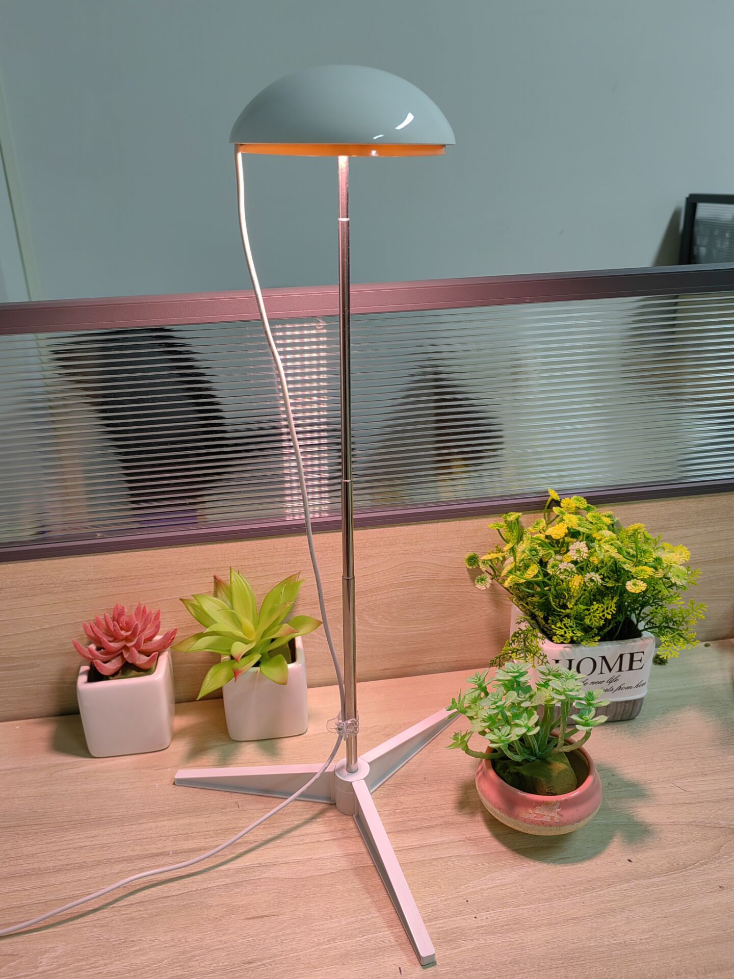 Adjusting Brightness Cycle Timing For Small Full Spectrum Plant Lamps - Image 3
